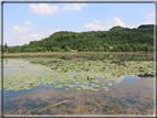 foto Lago di Fimon